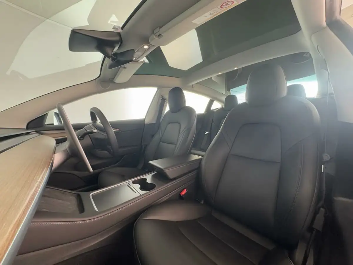 2021-tesla-model-3-e-long-range-awd-big-38