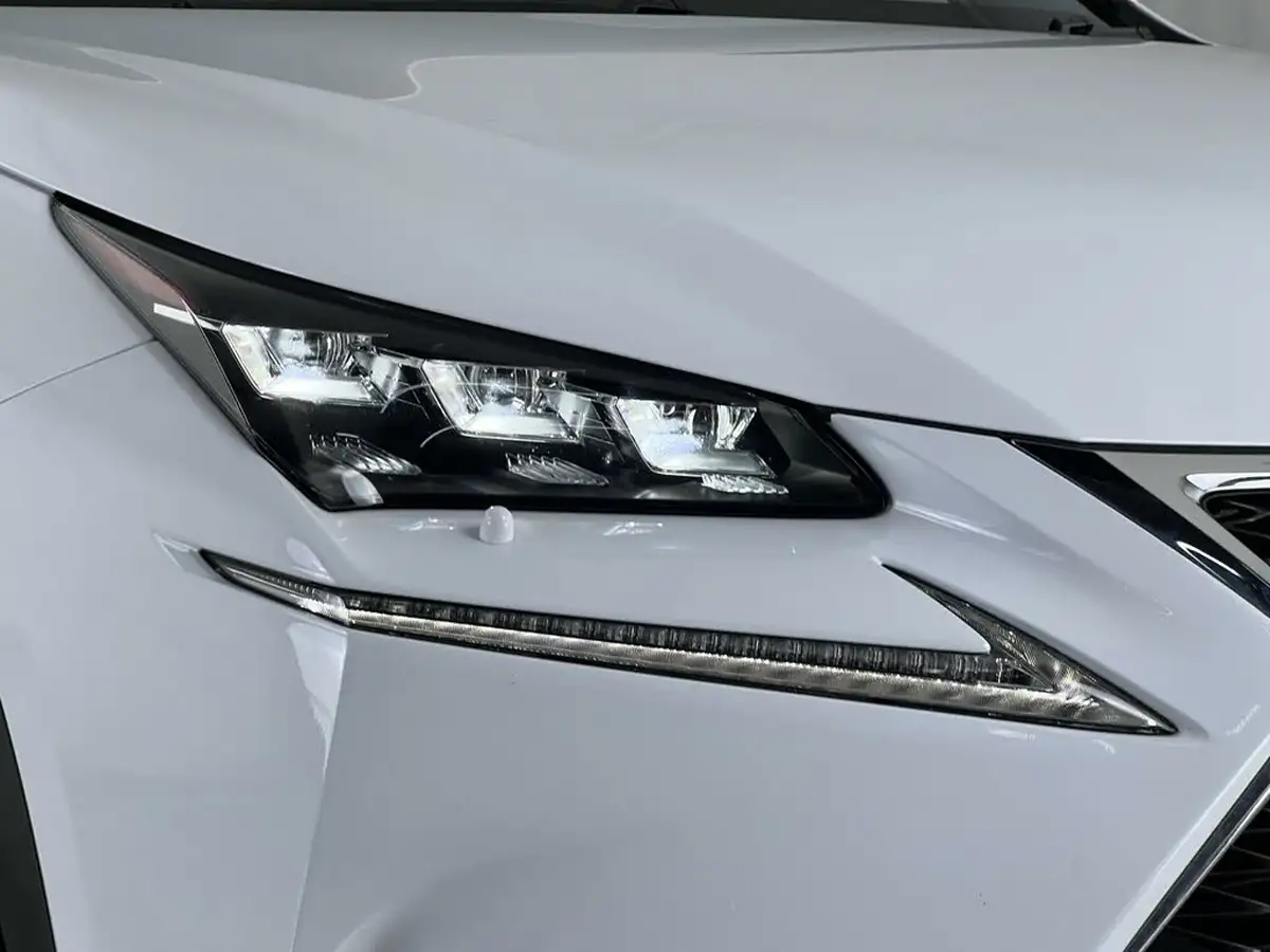 2017-lexus-nx-300h-25-f-sport-big-7