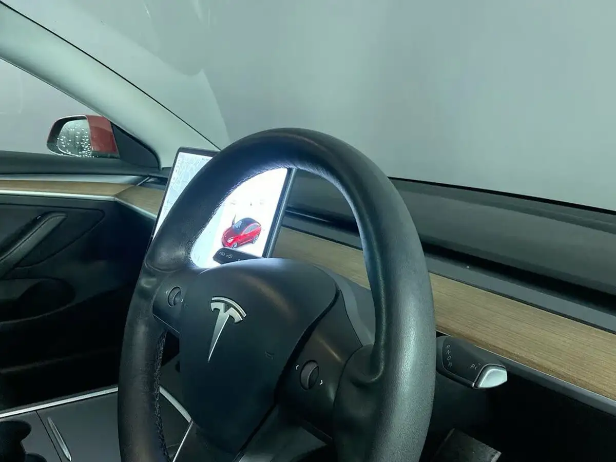 2021-tesla-model-3-e-long-range-awd-big-15