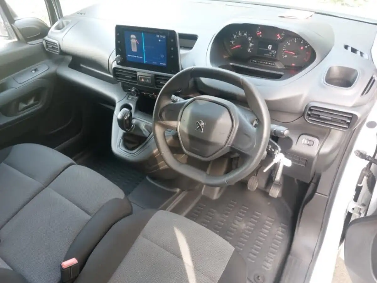 2019-peugeot-partner-15-bluehdi-1000-professional-100ps-eu6dt-panel-big-2