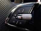 2024-skoda-kamiq-10-tsi-monte-carlo-110ps-dsg-small-11