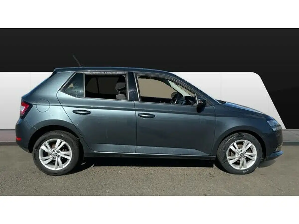 2021-skoda-fabia-10-tsi-se-95ps-hatchback-big-4