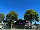 2022-volkswagen-transporter-20tdi-t28-startline-bmt-swb-90pseu6dt-e-small-3