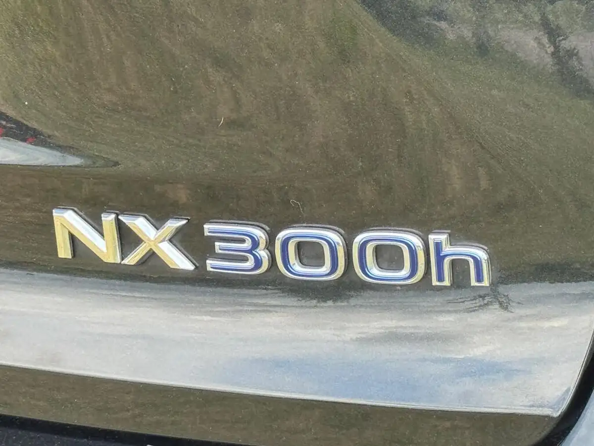 2021-lexus-nx-300h-25-f-sport-takumi-packpanroof-big-30