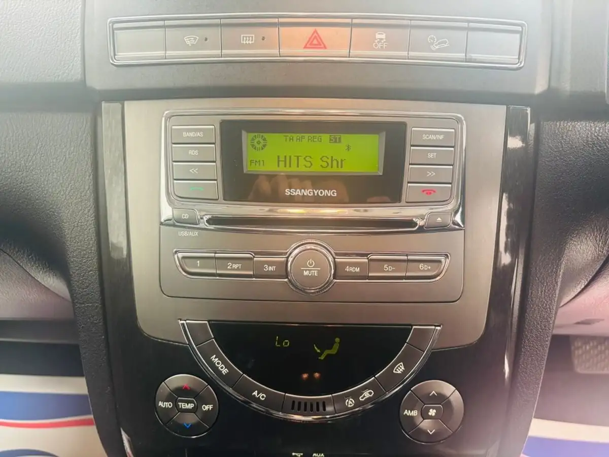 2013-kgm-ssangyong-rexton-w-20td-ex-t-tronic-big-13