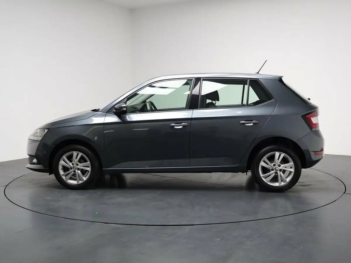 2021-skoda-fabia-10-mpi-se-big-5