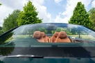 2022-bentley-continental-40-gt-v8-convertible-small-54