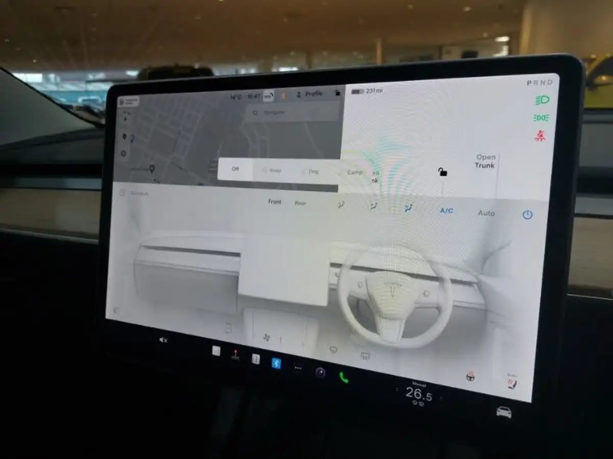 2021-tesla-model-3-e-long-range-awd-big-14
