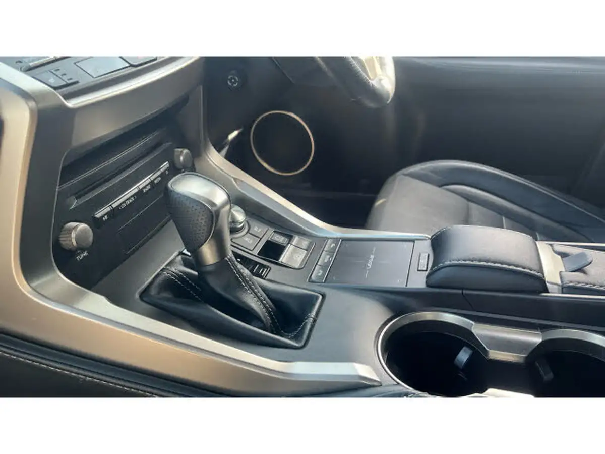 2021-lexus-nx-300h-25-f-sport-premium-pack-big-12