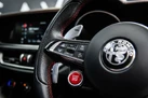 2021-alfa-romeo-stelvio-29-biturbo-quadrifoglio-small-9