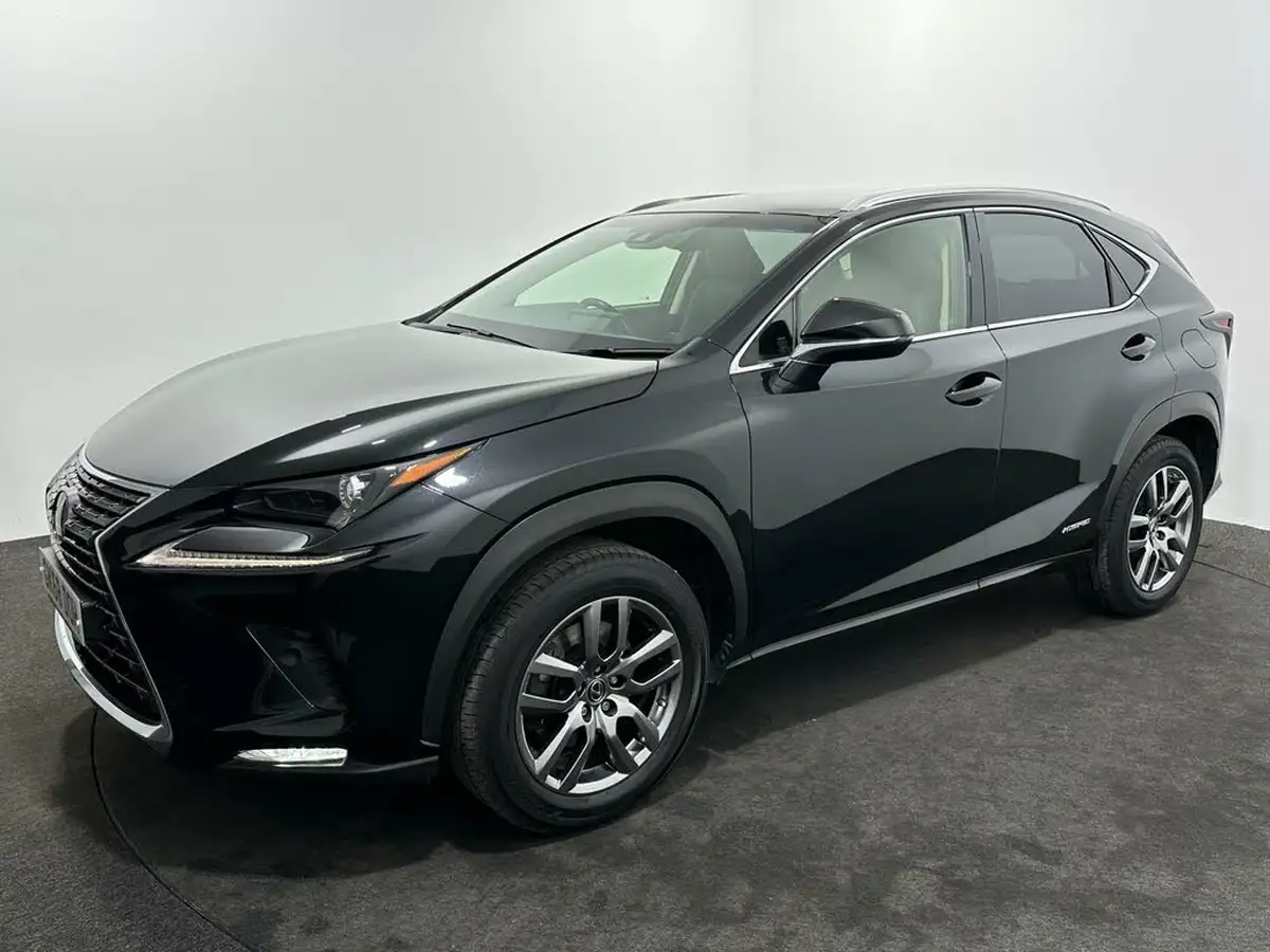 2018-lexus-nx-300h-25-luxury-p-navi-big-55