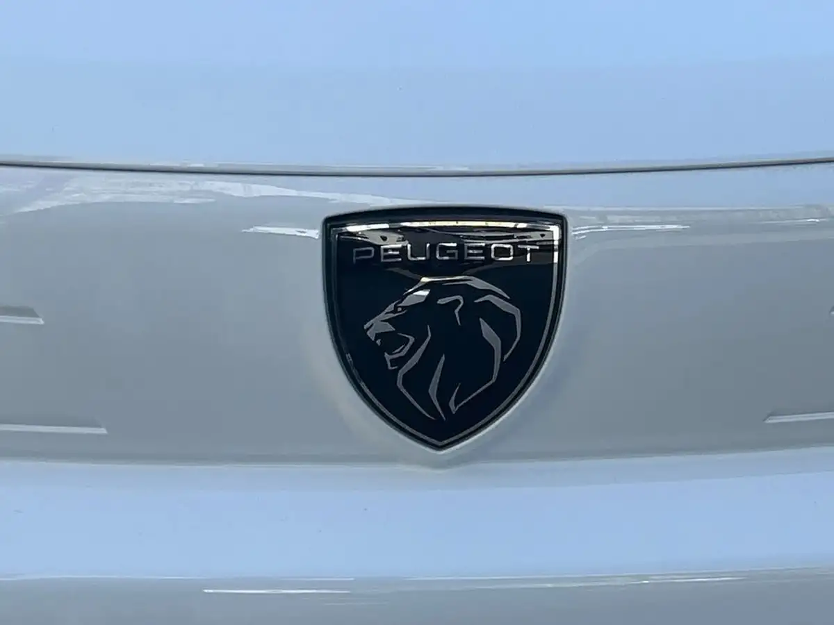 2024-peugeot-partner-15-bluehdi-professional-100pseu6d-big-30