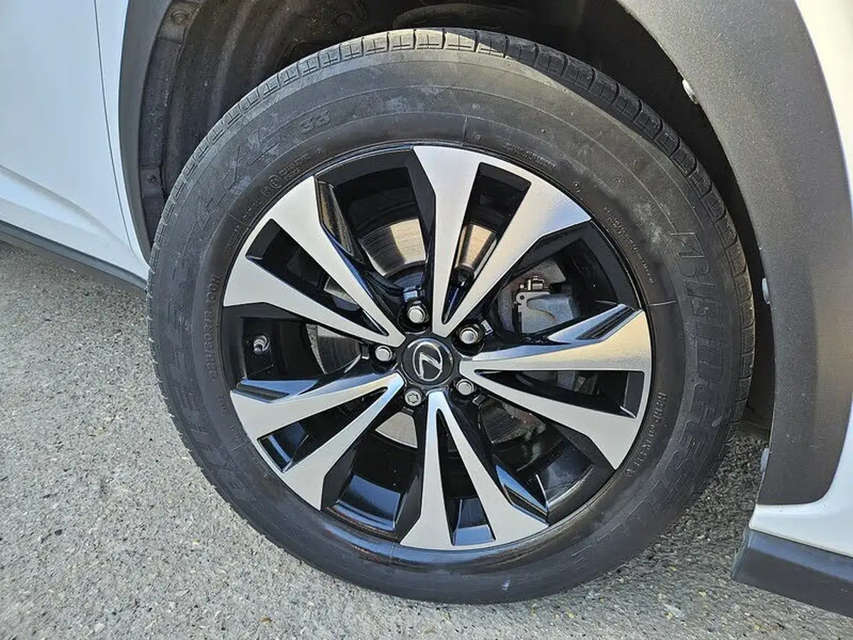 2018-lexus-nx-300h-25-f-sport-big-8