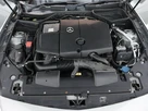 2012-mercedes-benz-slk-21td-slk250-amg-sport-blue-f-small-48