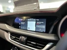 2025-alfa-romeo-stelvio-20-tributo-italiano-small-5