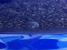 2010-jaguar-xf-30-luxury-small-10