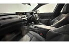 2021-lexus-ux-300e-e-ux-small-20