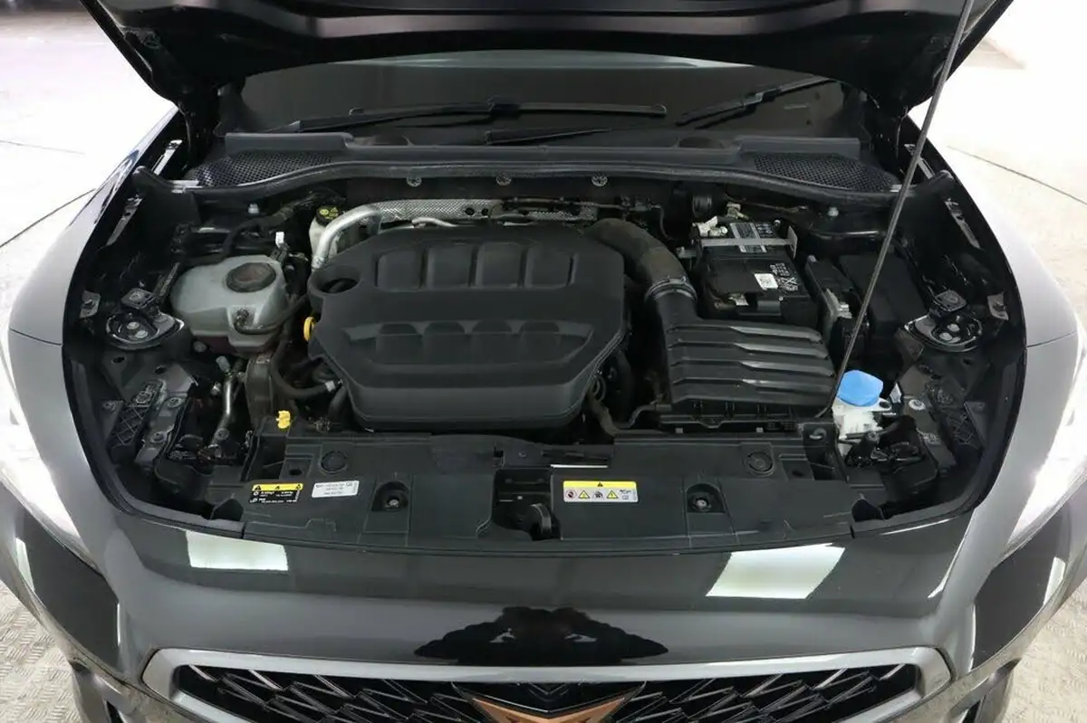 2022-cupra-formentor-20-tsi-vz2-310ps-4drive-big-30