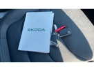 2024-skoda-kodiaq-15-tsi-se-l-executive-dsg-small-18