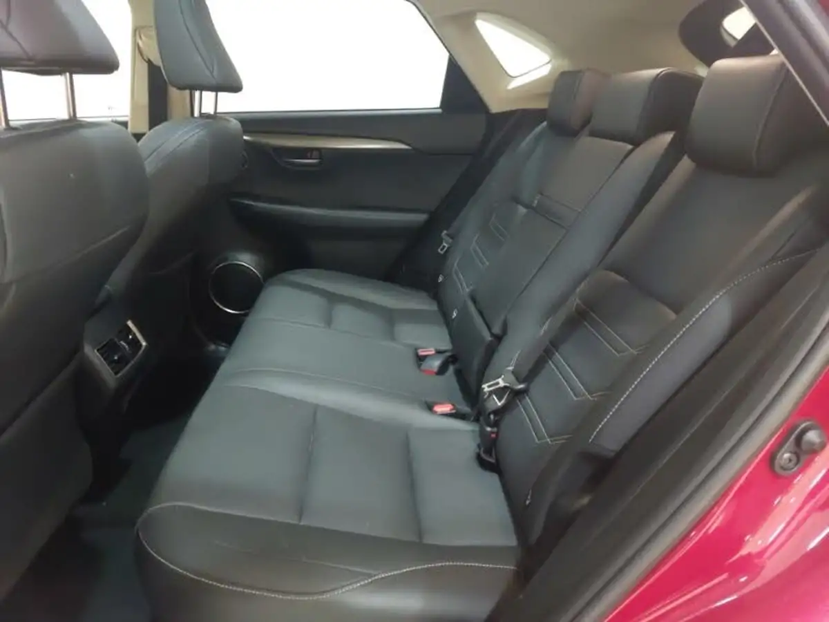 2017-lexus-nx-300h-25-luxury-big-5