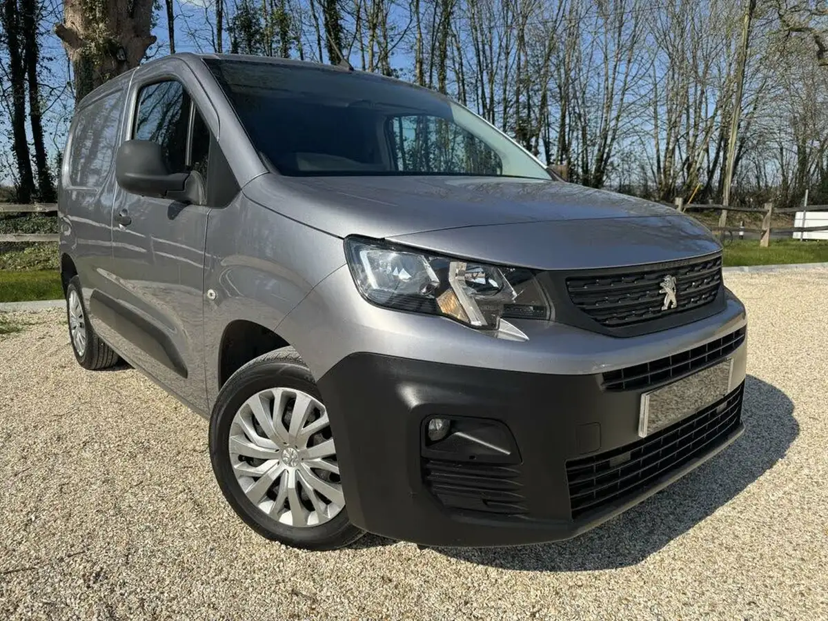 2019-peugeot-partner-16bluehdi-1000-professional-big-0