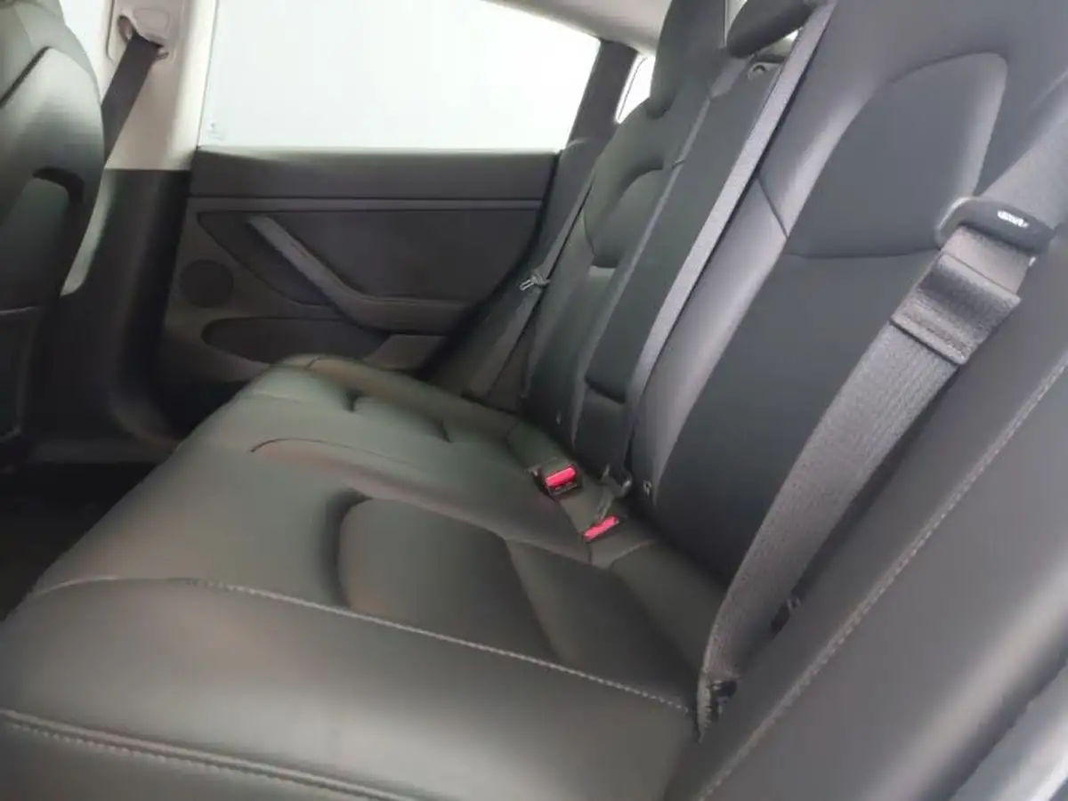 2021-tesla-model-3-e-long-range-awd-big-5