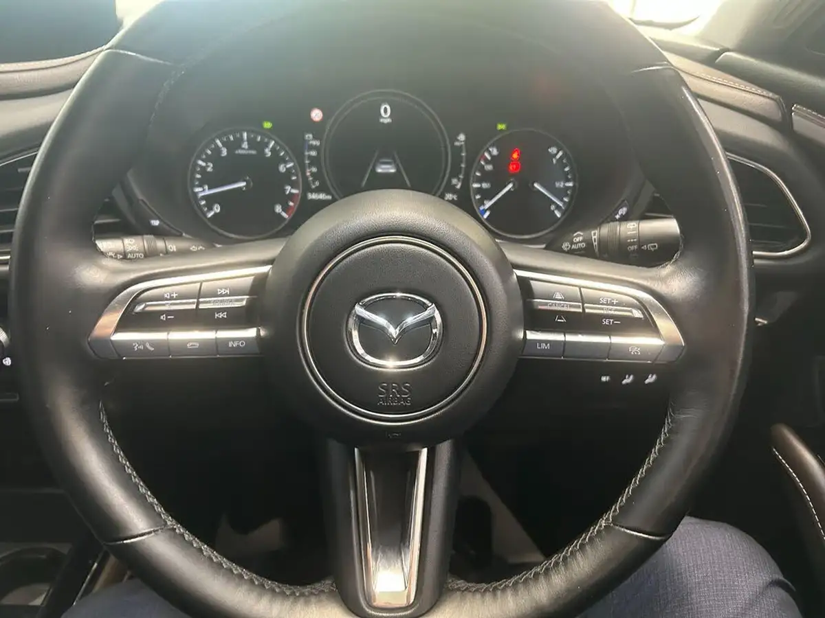 2020-mazda-cx-30-20-skyactiv-x-gt-sport-big-14