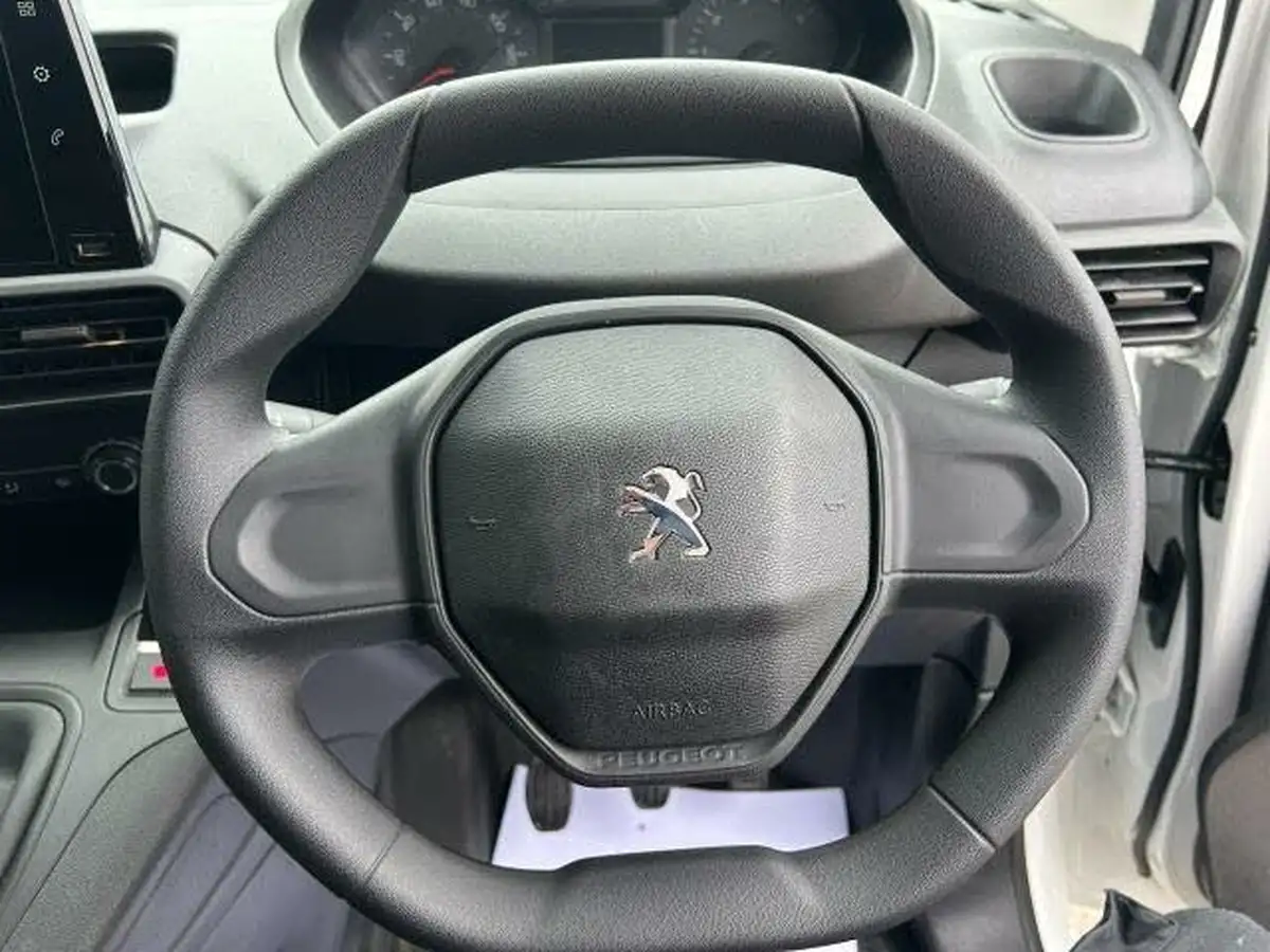 2019-peugeot-partner-15-bluehdi-1000-professional-100ps-eu6dt-panel-big-13