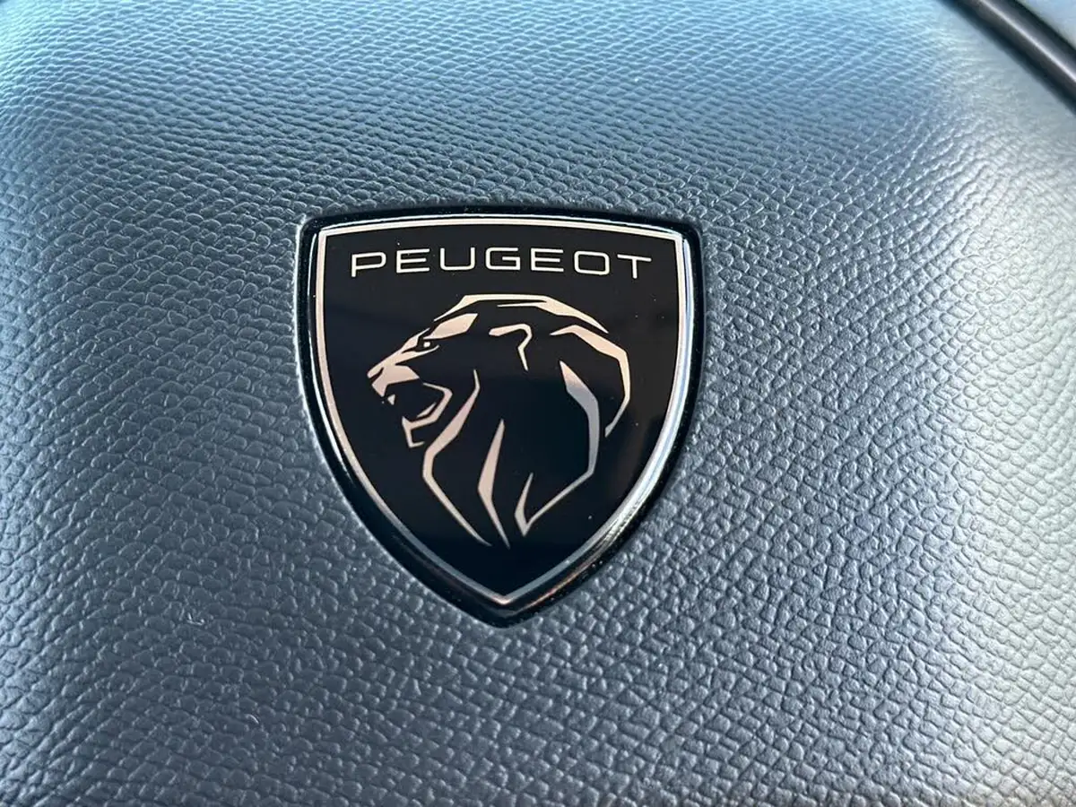 2024-peugeot-partner-15-bluehdi-professional-100pseu6d-big-24