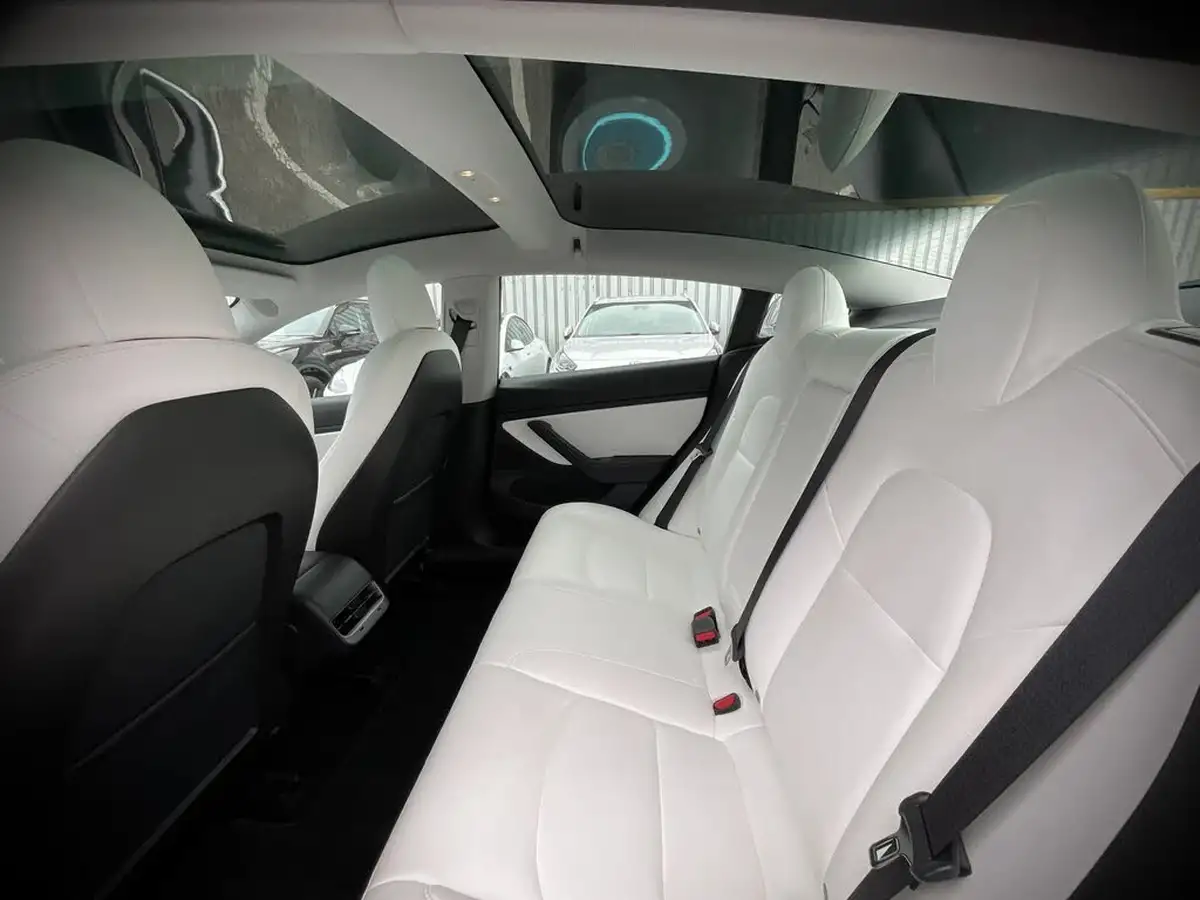2020-tesla-model-3-e-performance-big-14