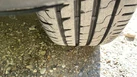 2017-fiat-500-12-lounge-small-18