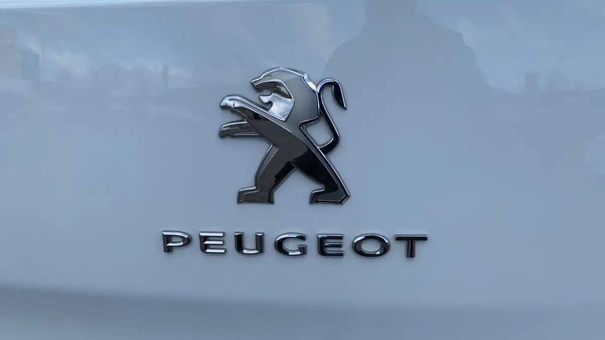 2024-peugeot-expert-20-bluehdi-professional-premium-long-1400-big-25