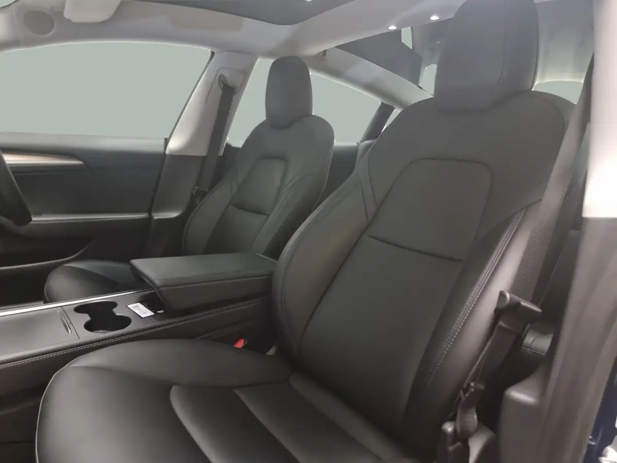 2021-tesla-model-3-e-long-range-awd-big-7