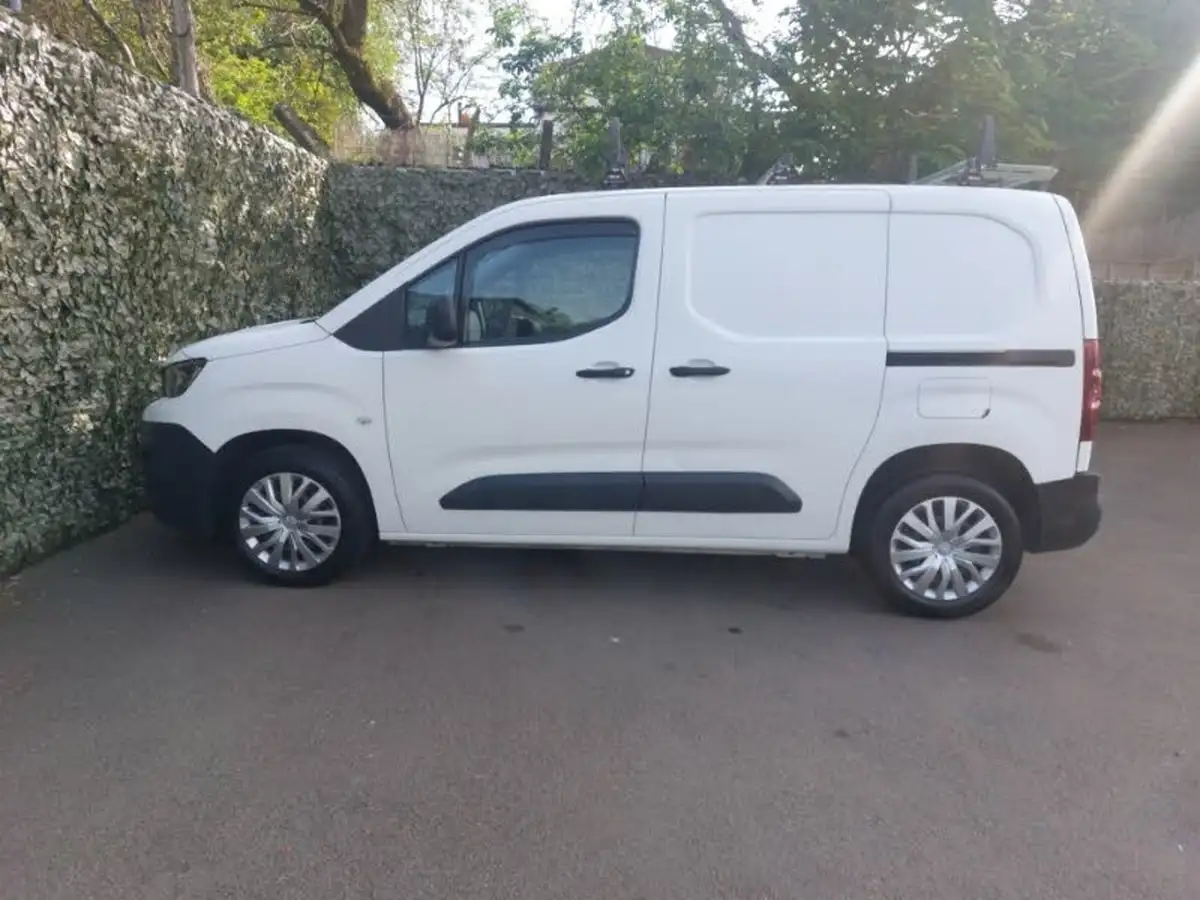 2019-peugeot-partner-15-bluehdi-1000-professional-100ps-eu6dt-panel-big-3