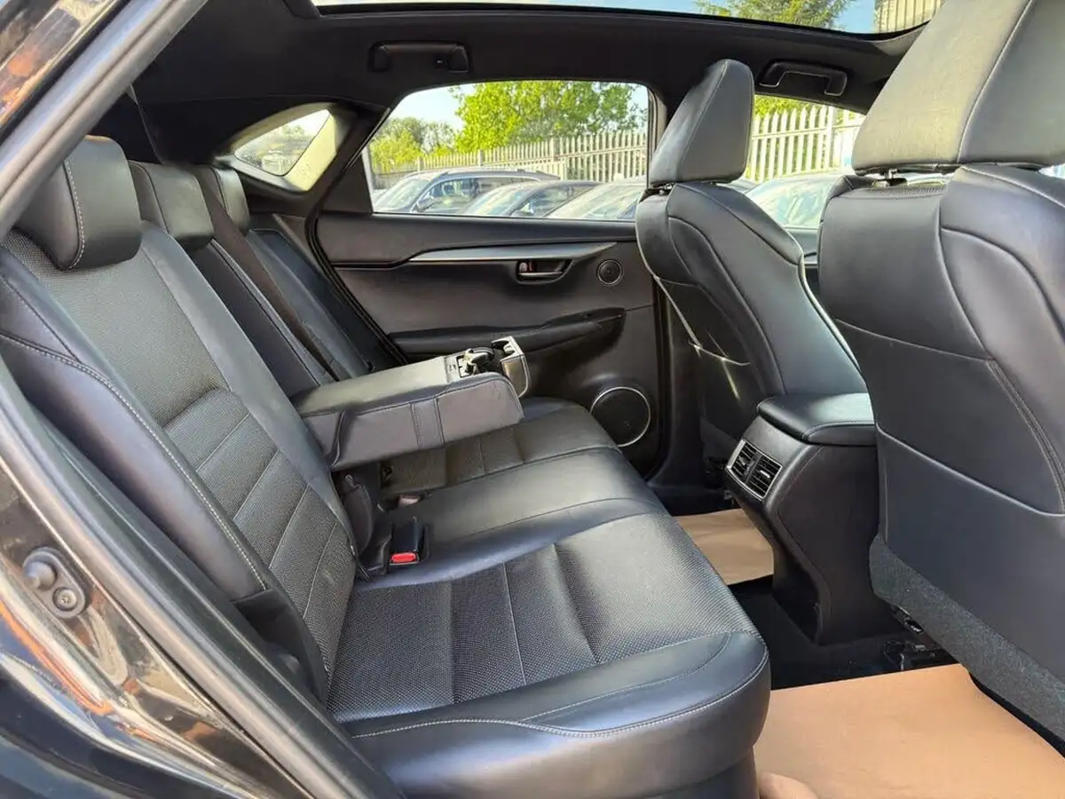 2017-lexus-nx-300h-25-f-sport-big-10