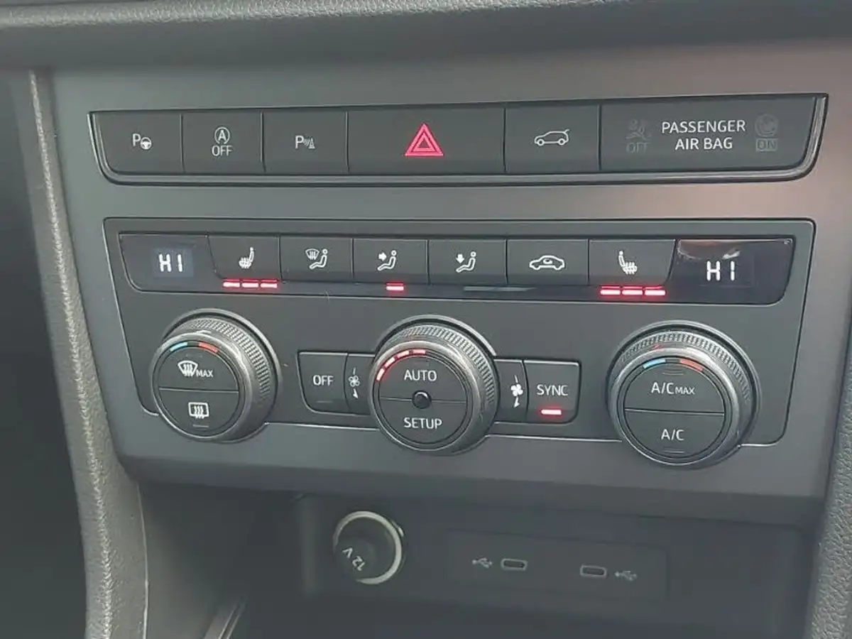 2024-cupra-ateca-20-ecotsi-v2-big-15