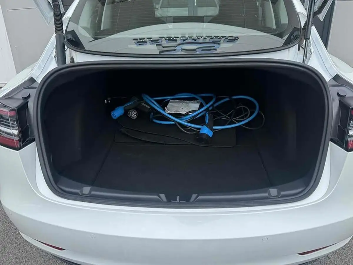 2021-tesla-model-3-e-standard-plus-big-18