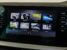 2023-skoda-kamiq-15-tsi-se-drive-small-8
