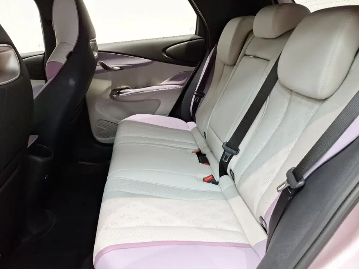 2024-byd-dolphin-e-comfort-big-5