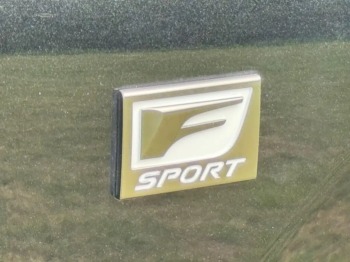 2021-lexus-nx-300h-25-f-sport-takumi-packpanroof-big-31