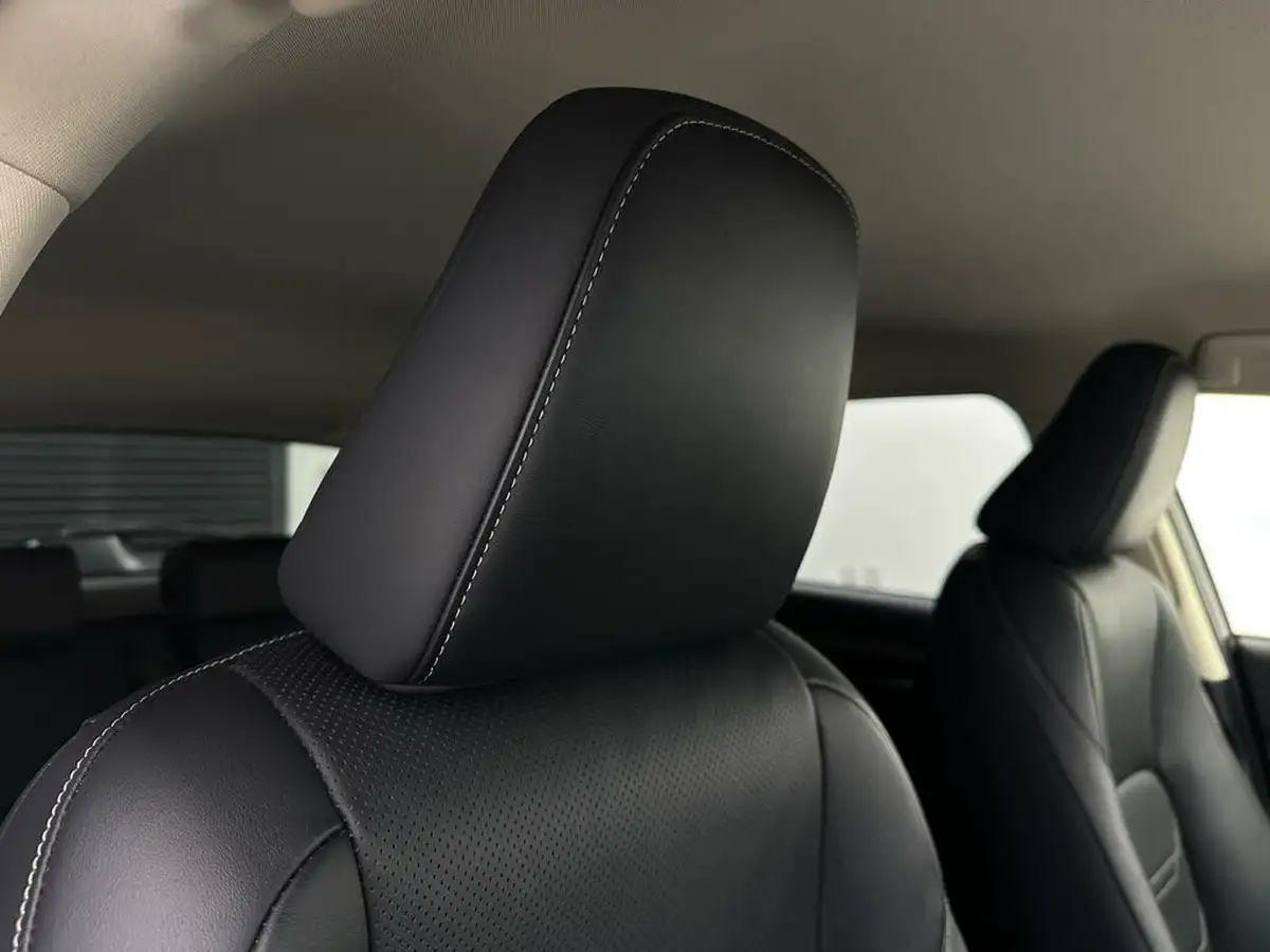 2018-lexus-nx-300h-25-luxury-p-navi-big-33