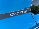 2020-citroen-c4-cactus-12-puretech-flair-110ps-small-30
