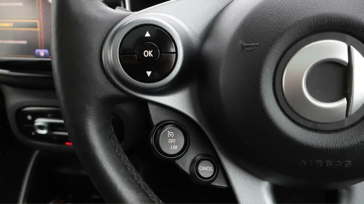 2022-smart-forfour-eq-exclusive-big-23