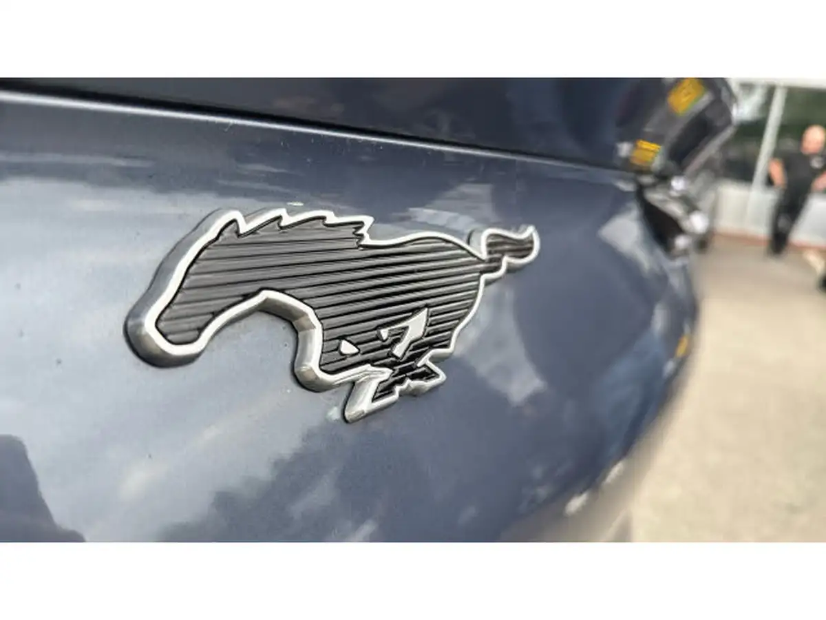 2021-ford-mustang-mach-e-e-extended-range-351ps-88kwh-awd-big-28