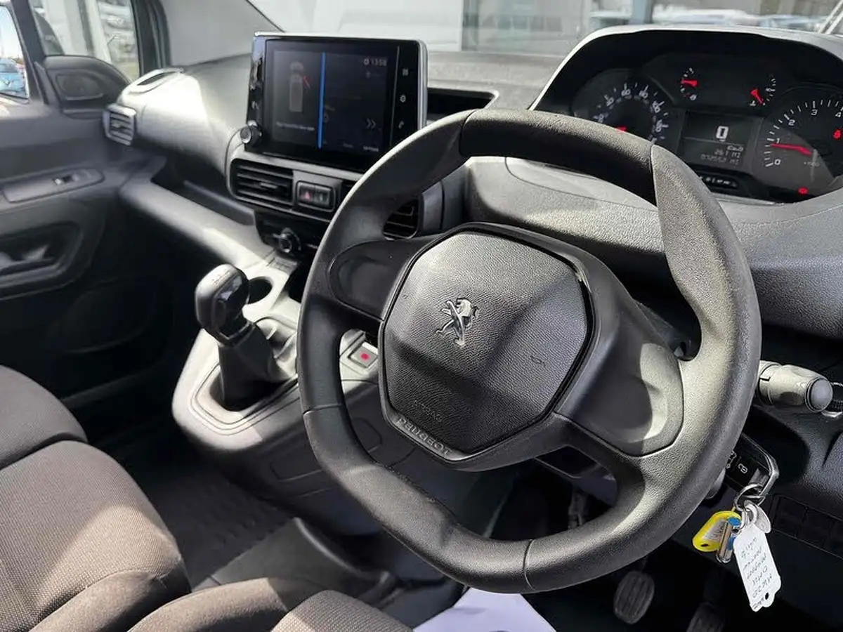 2020-peugeot-partner-15-bluehdi-1000-professional-100ps-eu6dt-panel-big-2