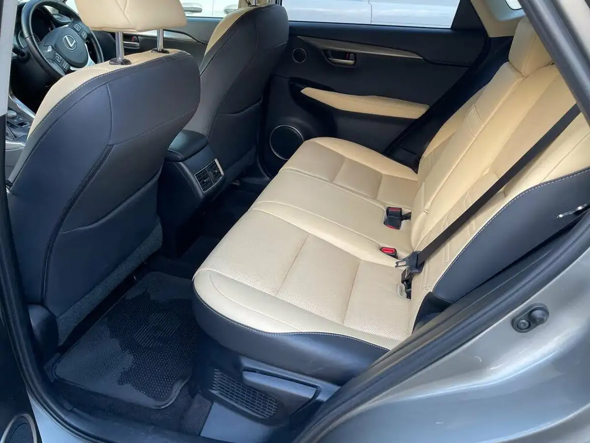 2017-lexus-nx-300h-25-luxury-big-21