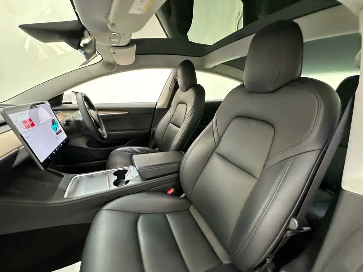2021-tesla-model-3-e-standard-plus-big-21