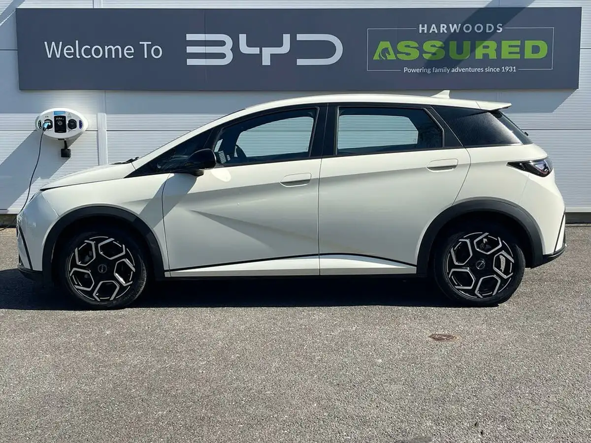 2024-byd-dolphin-e-comfort-big-8