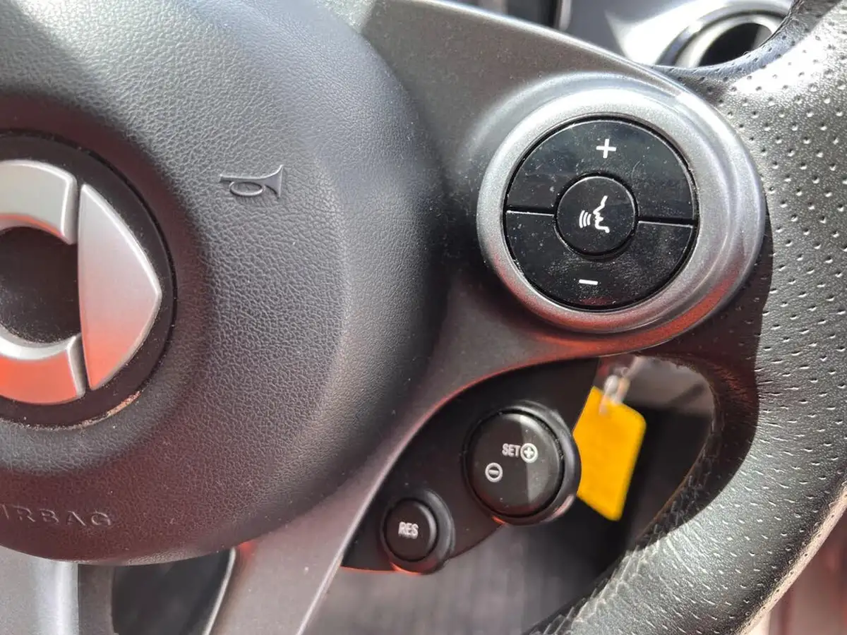 2015-smart-forfour-09-edition-1-big-32
