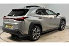 2021-lexus-ux-300e-e-ux-small-8
